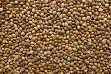 Load image into Gallery viewer, Hemp Seeds - $11.99 per lb
