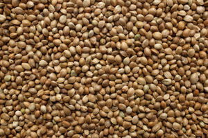 Hemp Seeds - $11.99 per lb