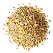 Load image into Gallery viewer, Flax Seeds - Golden - $2.29 per lb
