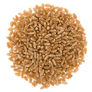 Wheat - Durum - $2.49 per lb