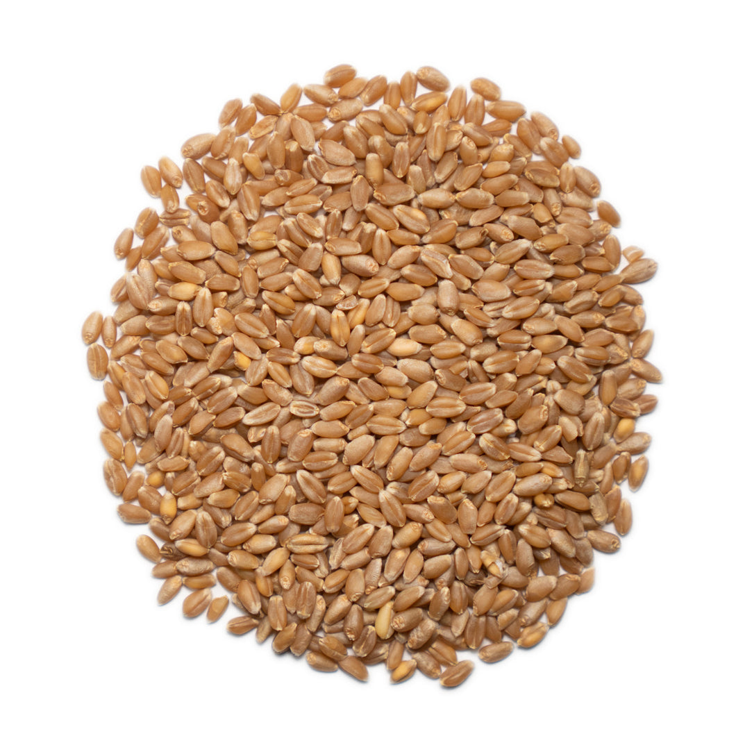 Wheat - Hard Red - $1.49 per lb