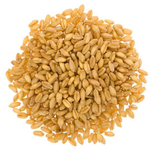 Wheat - Soft White - $1.79 per lb